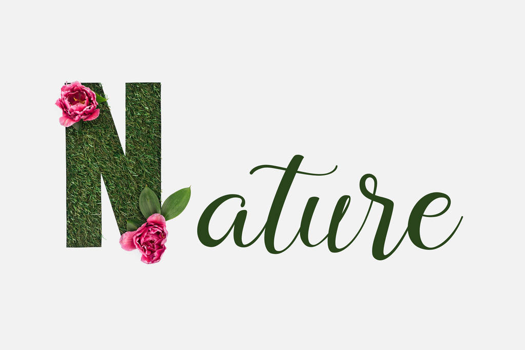 сверху вид зеленой природы буквы с листьями и розовыми пионами изолированы на белом
 - Фото, изображение