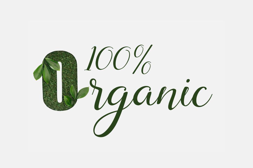 vista dall'alto del verde iscrizione organica al 100% con foglie isolate sul bianco
 - Foto, immagini