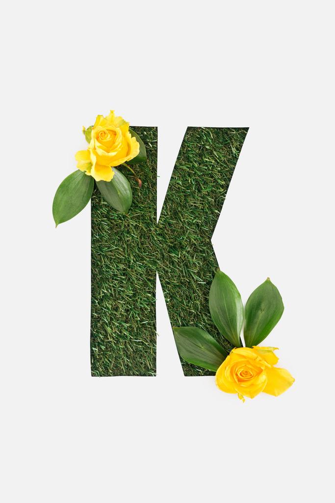 κάτοψη του αποκόπτονται γράμμα K σε φόντο πράσινο γρασίδι με φύλλα και κίτρινα τριαντάφυλλα που απομονώνονται σε λευκό - Φωτογραφία, εικόνα