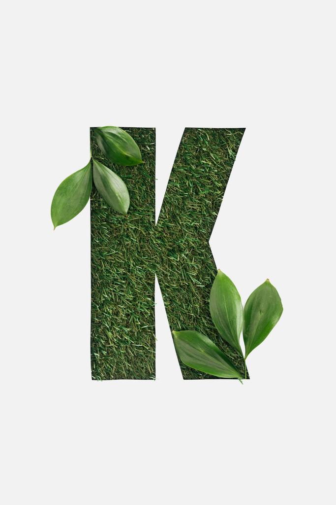 Widok z góry z wyciętym literę K na tle zielonej trawy z liści na białym tle - Zdjęcie, obraz