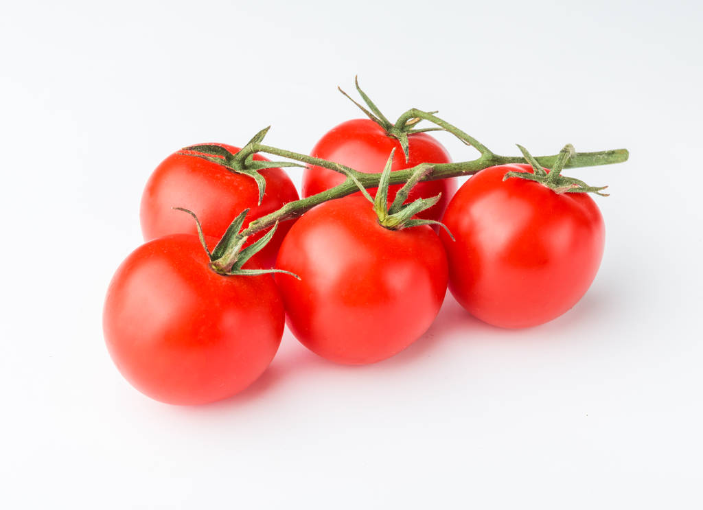 rama de tomates cherry sobre fondo blanco
 - Foto, imagen