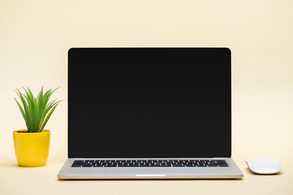 空白の画面、コンピューターのマウス、ベージュ色の背景に緑の植物を持つノート パソコン - 写真・画像
