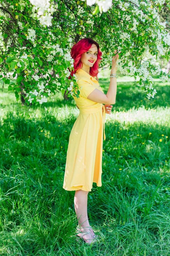 Kaunis ja nuori nainen kirkkaan punaiset hiukset ja tuomari huulet seisoo vieressä kukkiva omenapuu keltainen mekko
. - Valokuva, kuva