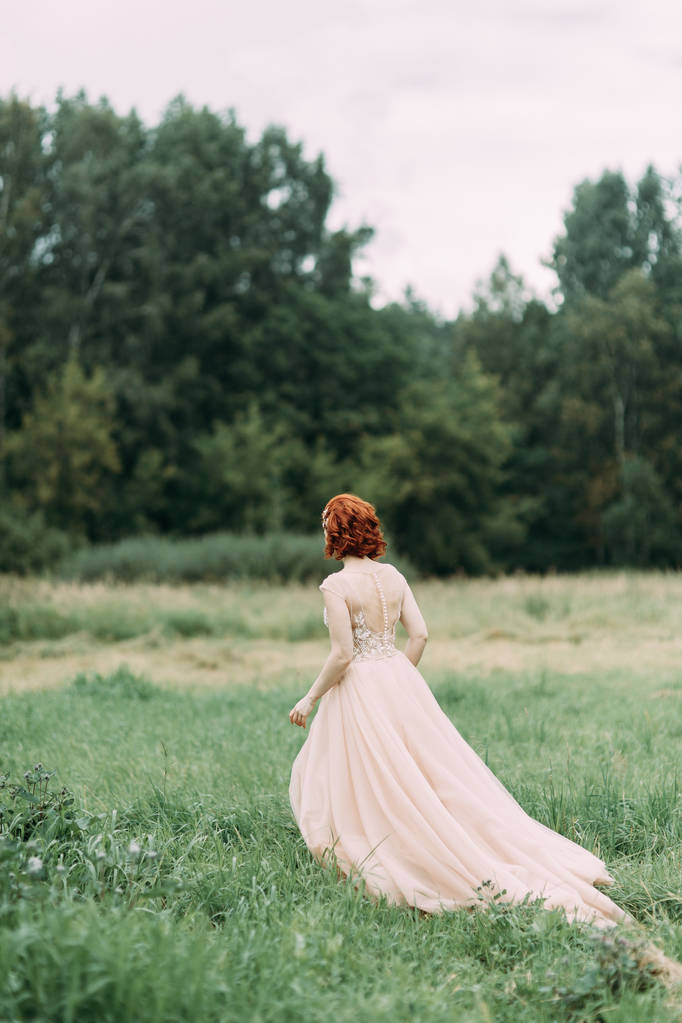 Sposa in un campo di erba alta. Servizio fotografico di nozze in natura in stile europeo
. - Foto, immagini