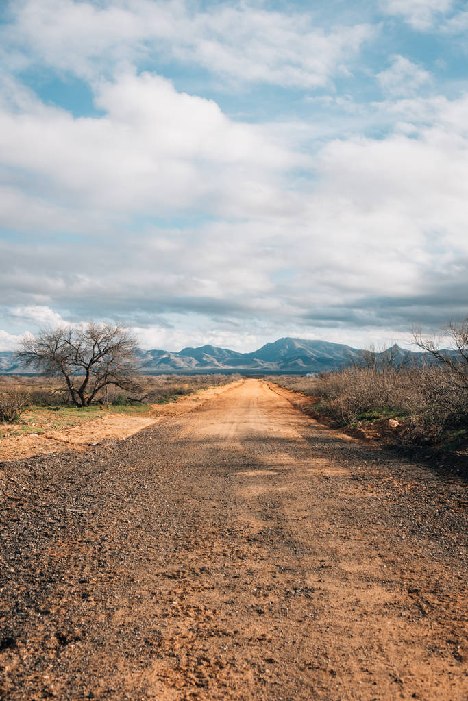 未舗装の道路と東のアリゾナの砂漠の山 - 写真・画像