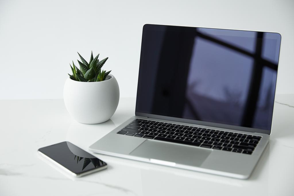 laptop e smartphone com tela em branco, e vaso isolado em cinza
 - Foto, Imagem