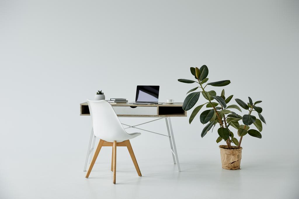 灰色の背景の植木鉢のラップトップおよび本、白い椅子および植物が付いているテーブル - 写真・画像