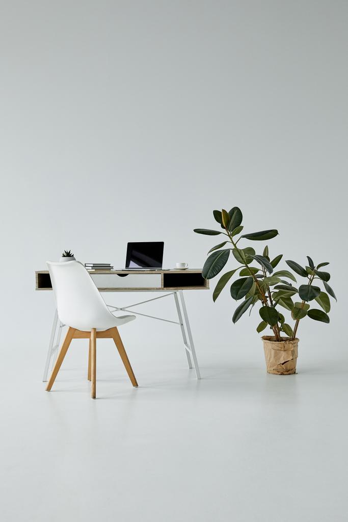 tavolo da ufficio con laptop, sedia bianca e ficus in vaso da fiori su sfondo grigio
 - Foto, immagini