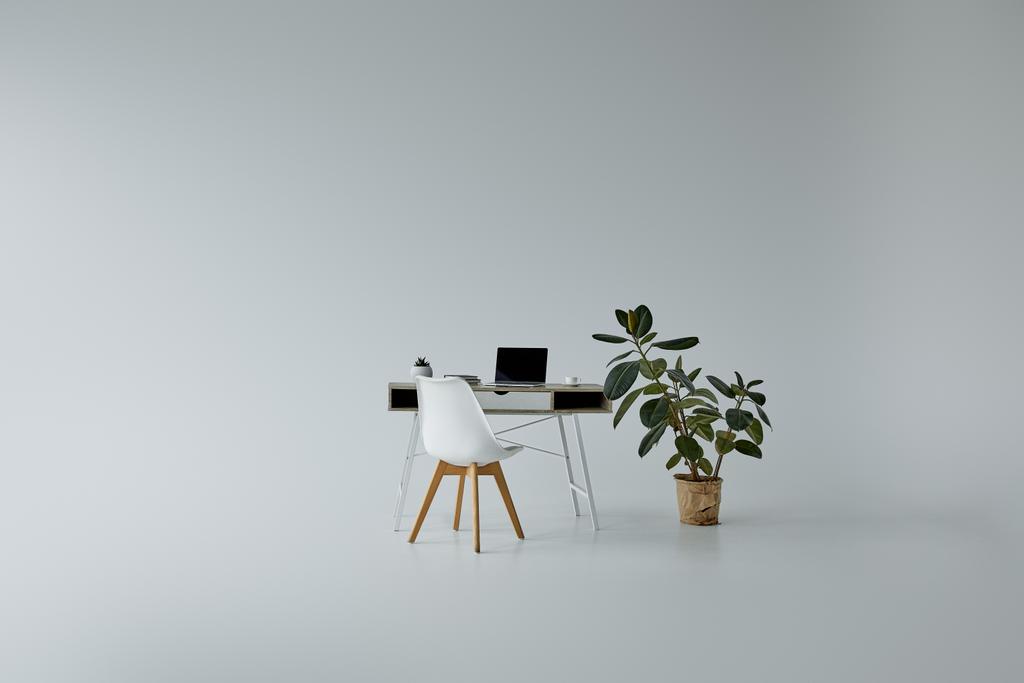 asztal laptop, fehér szék és zöld Ficus a virágcserép a szürke háttér - Fotó, kép