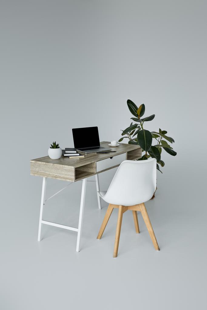 灰色の背景のラップトップ、植木鉢、本、緑のイチジクおよび白い椅子が付いているテーブル - 写真・画像