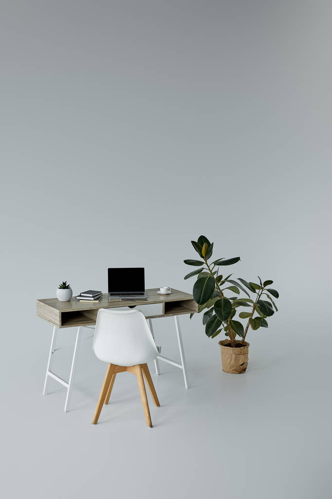 фикус в цветочном горшке, стол с ноутбуком и белый стул на сером фоне
 - Фото, изображение