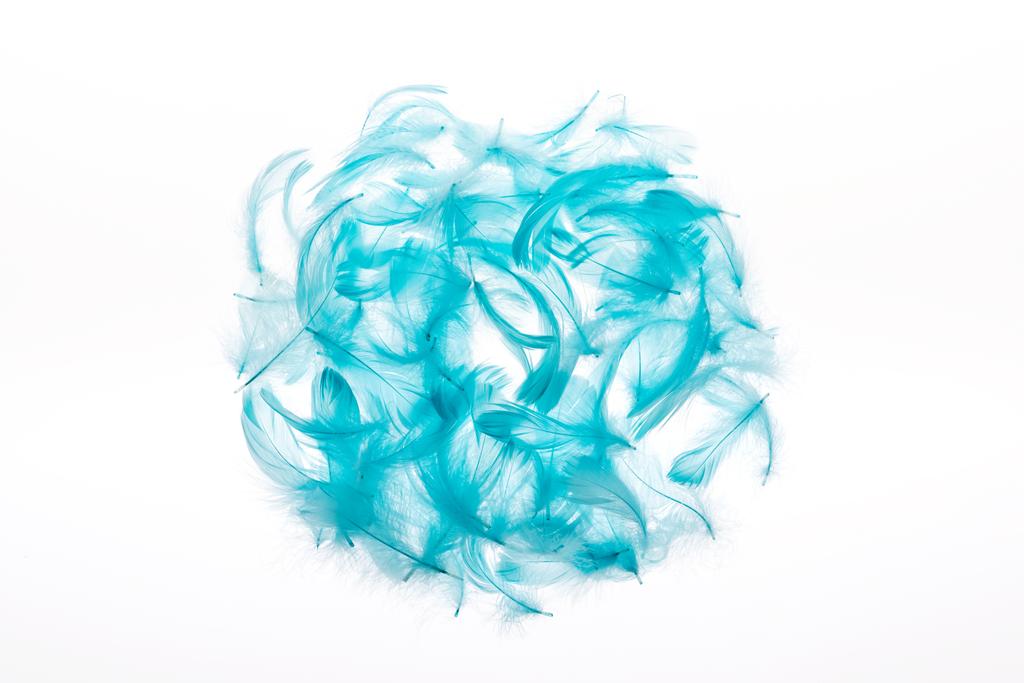 circle of blue lightweight and soft feathers isolated on white - Photo, Image