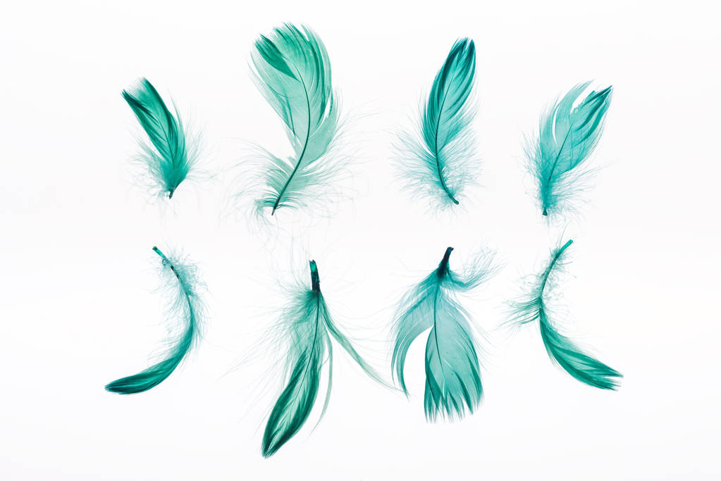 fehéren szigetelt, zöld könnyűsúlyú tollak sorai - Fotó, kép