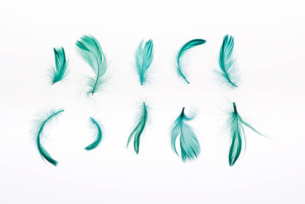 rows of green bright lightweight feathers isolated on white - Photo, Image