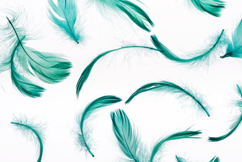 naadloze achtergrond met groene lichtgewicht veren geïsoleerd op wit - Foto, afbeelding