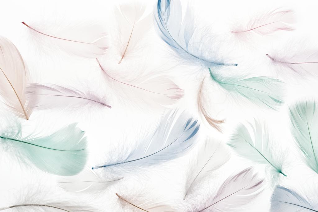nahtloser Hintergrund mit bunten weichen Federn isoliert auf weiß - Foto, Bild