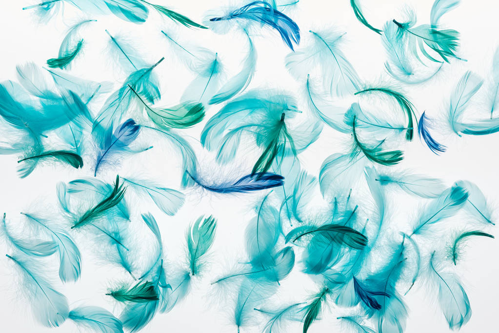nahtloser Hintergrund mit bunten grünen und blauen leichten Federn isoliert auf weiß - Foto, Bild