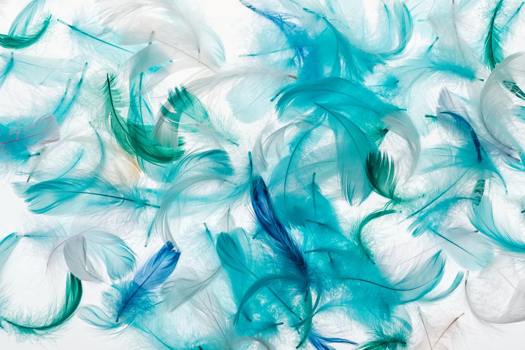 seamless background with green, grey and turquoise bright feathers isolated on white - Photo, Image