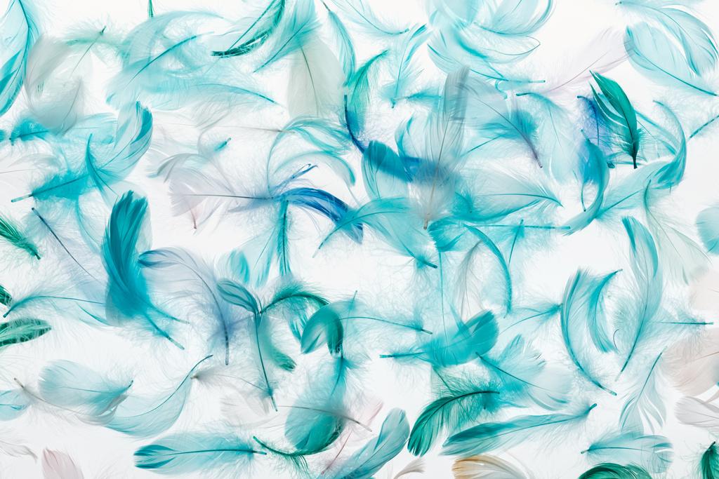 seamless background with multicolored green, grey and turquoise feathers isolated on white - Photo, Image