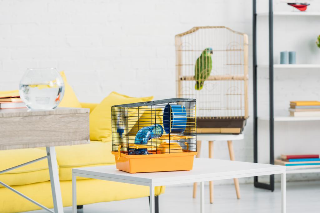salón con jaula naranja para mascotas sobre mesa blanca, y loro verde en jaula para pájaros
 - Foto, imagen