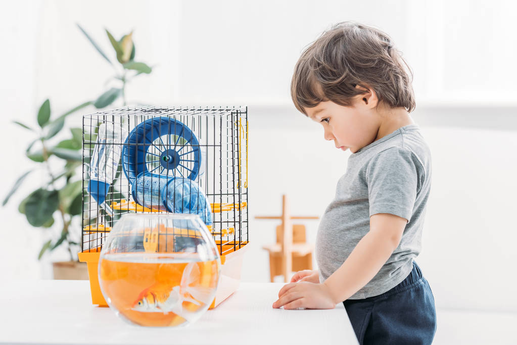 очаровательный мальчик, стоящий рядом со столом с аквариумом и клеткой для домашних животных дома
 - Фото, изображение