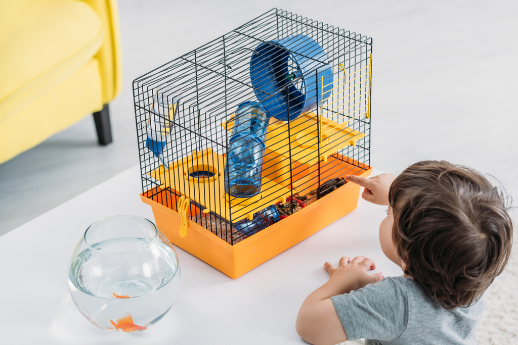 schattige jongen wijzend met de vinger op Pet Cage met blauwe plastic wiel en tunnel - Foto, afbeelding