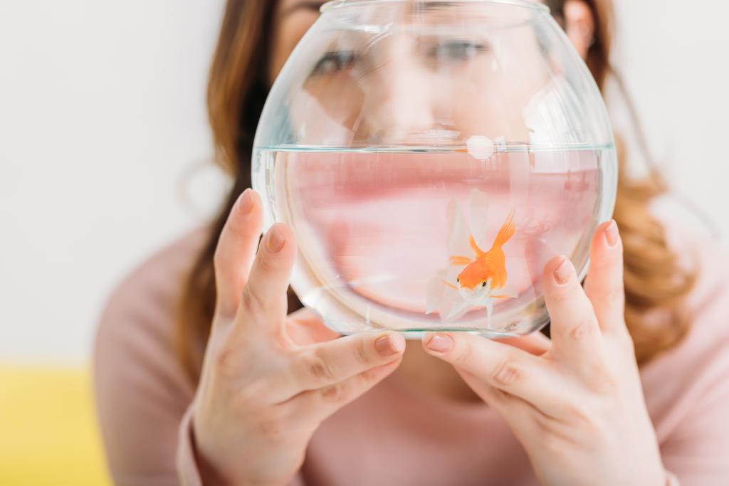 foco seletivo da mulher segurando aquário com peixes de ouro brilhante
 - Foto, Imagem