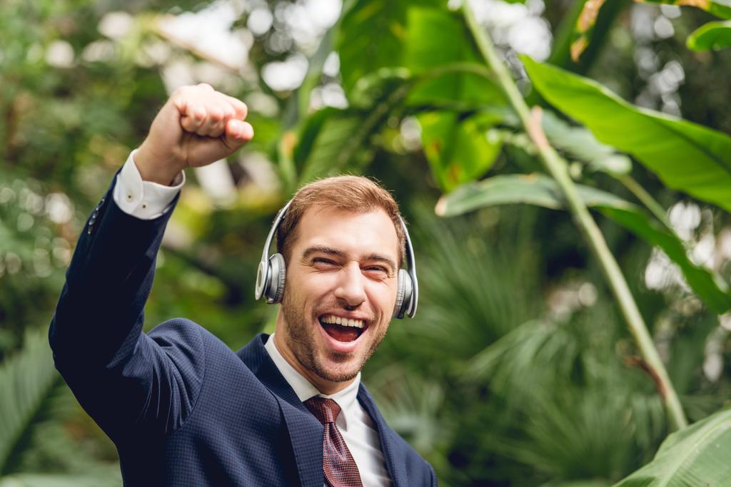 onnellinen liikemies puku ja langattomat kuulokkeet osoittavat kyllä ele kasvihuoneessa
 - Valokuva, kuva