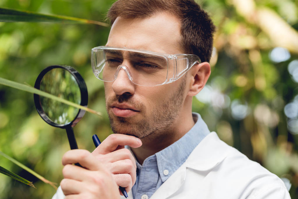 thoughtful scientist in white coat and goggles examining plants with loupe in green orangery - Photo, Image