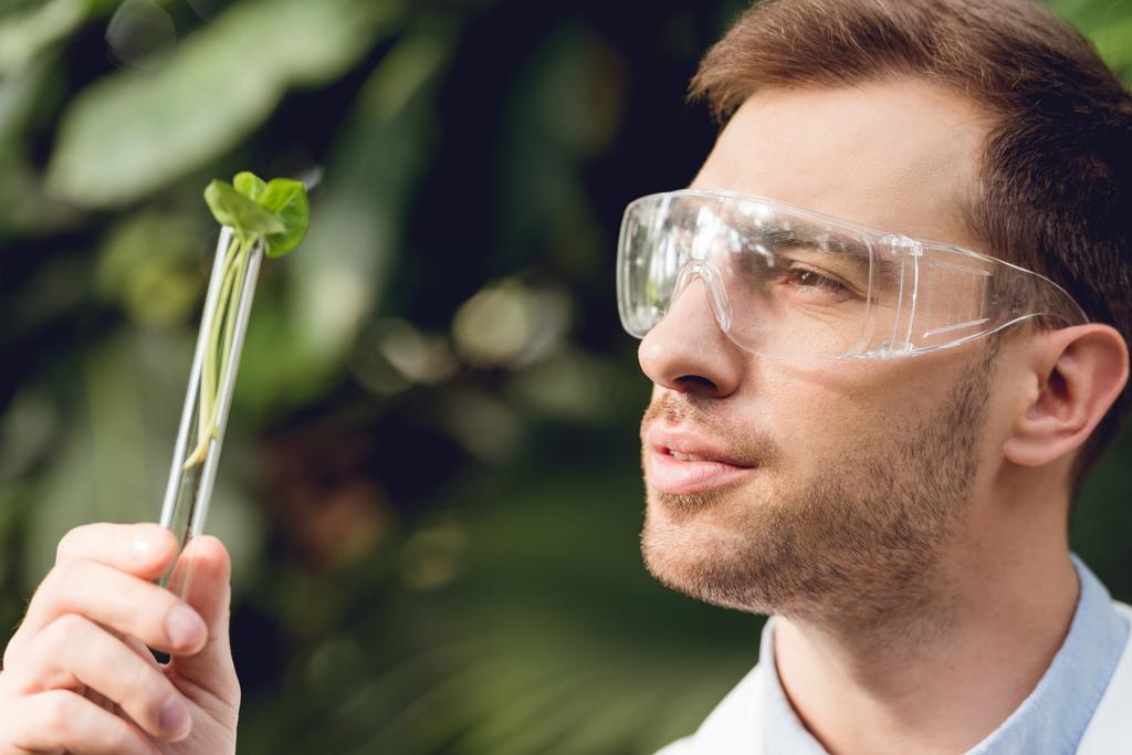 científico sonriente con bata blanca y gafas mirando frasco con muestra de planta en naranjería
 - Foto, imagen