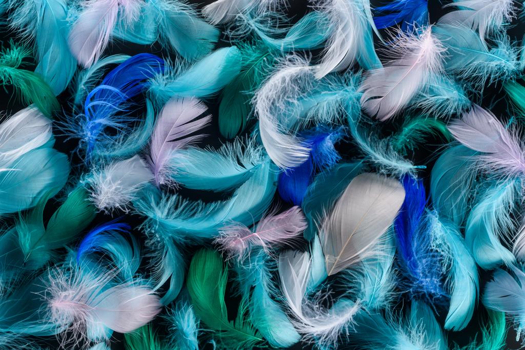 seamless background with bright blue, green and pink soft feathers isolated on black - Photo, Image