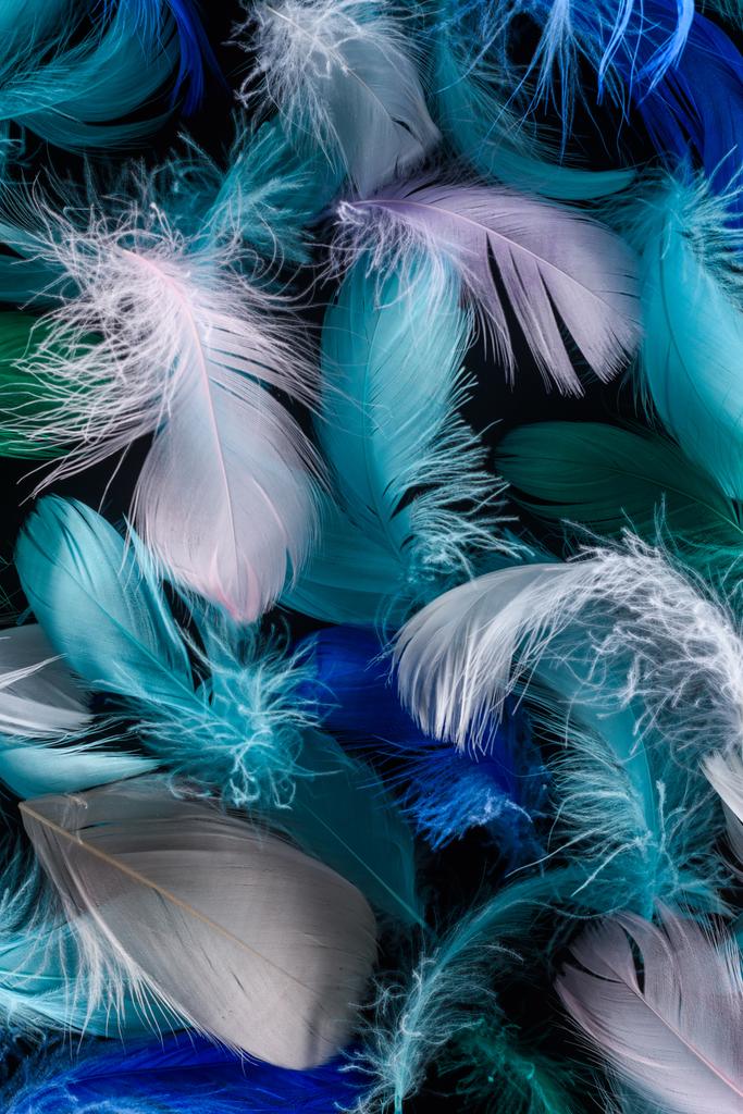 seamless background with bright blue, green and pink feathers isolated on black - Photo, Image