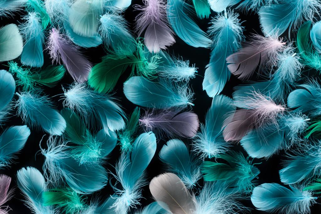 seamless background with colorful and soft feathers isolated on black - Photo, Image