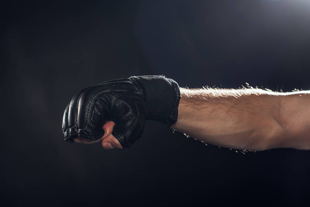 Rajattu näkymä nyrkkeilijä nahka käsine musta
 - Valokuva, kuva