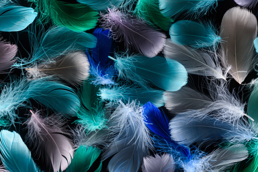fundo sem costura com plumas brilhantes multicoloridas isoladas em preto
 - Foto, Imagem