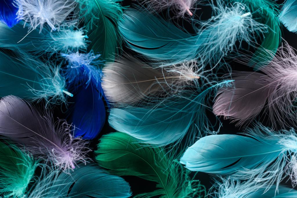 seamless background with multicolored feathers isolated on black - Photo, Image