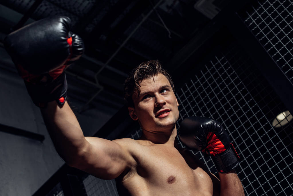 Tiefansicht des Boxers beim Training mit Boxhandschuhen und beim Wegschauen - Foto, Bild