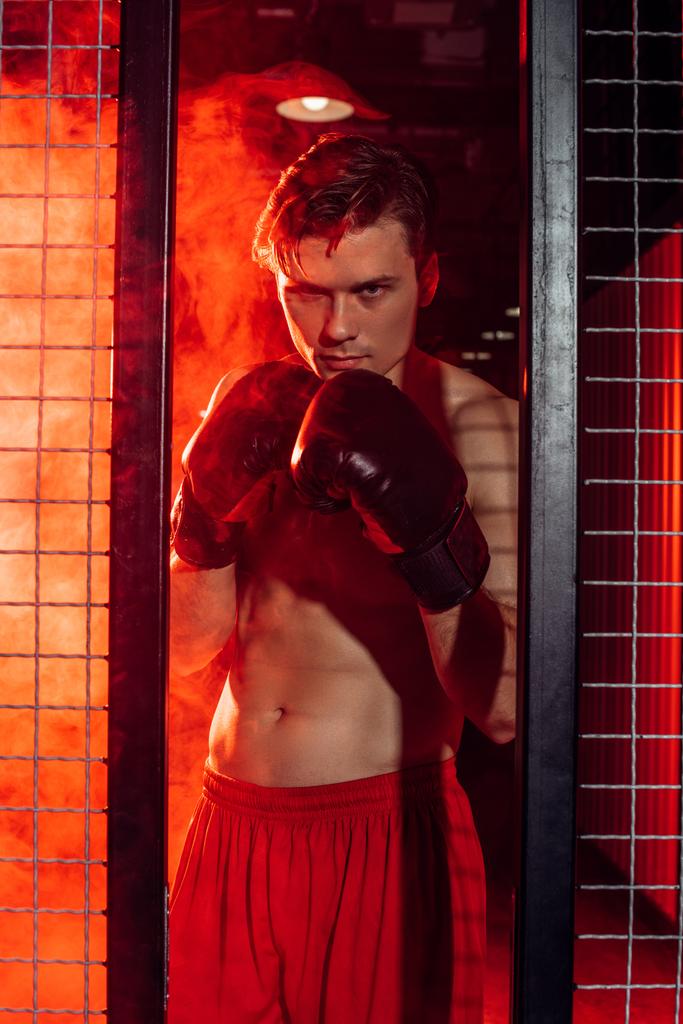 Красивий боксер в боксерських рукавичках стоїть біля дротяної сітки і дивиться на камеру
 - Фото, зображення