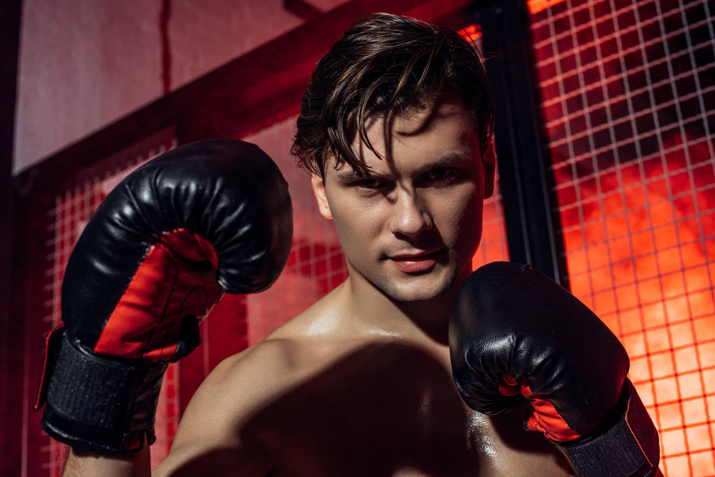 Pohledný boxer v boxerských rukavicích, který stojí blízko síťoviny a dívá se na kameru - Fotografie, Obrázek