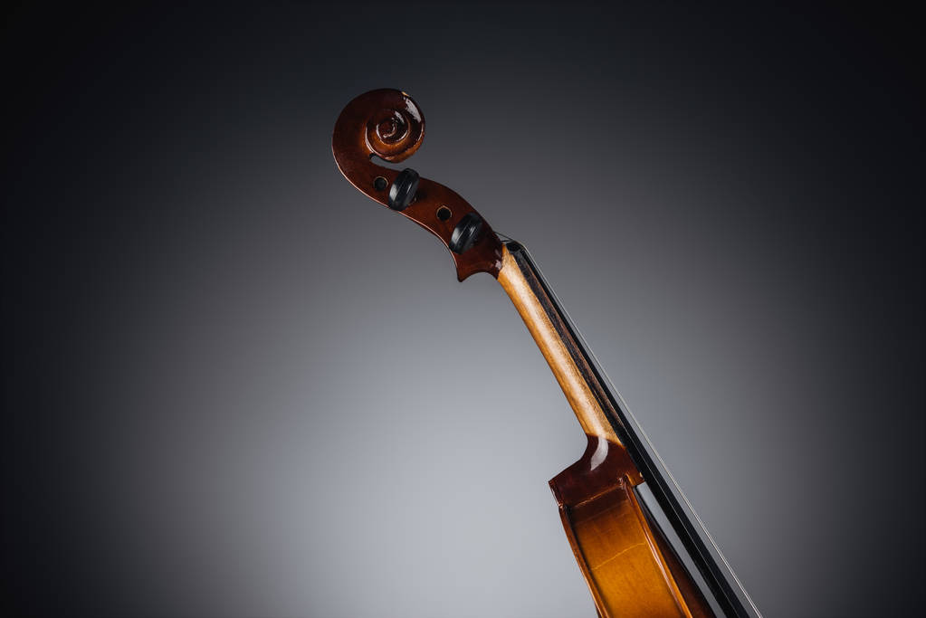 primo piano del violoncello classico su sfondo scuro
 - Foto, immagini