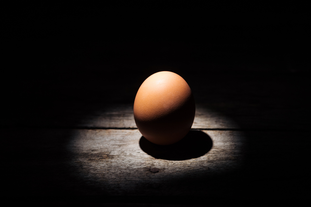 brown chicken egg in darkness on weathered wooden surface  - Photo, Image