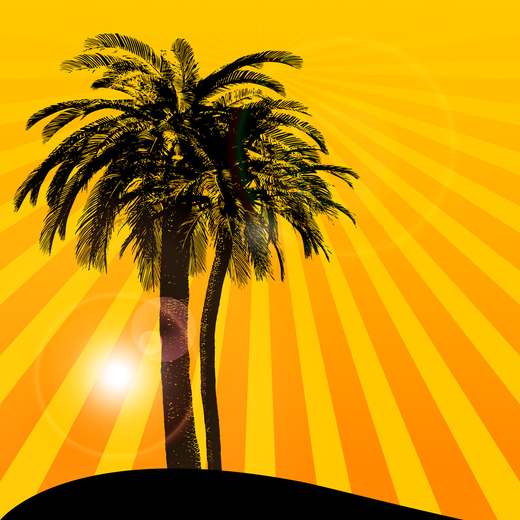 Fundo laranja com palmeira
 - Vetor, Imagem