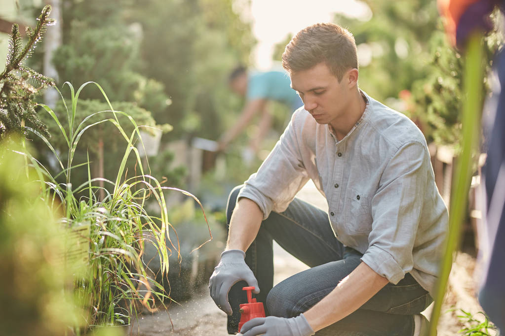 Guy zahradník spreje hnojivo na rostliny v krásné zahradě školky za slunečného dne. Práce v zahradník - Fotografie, Obrázek