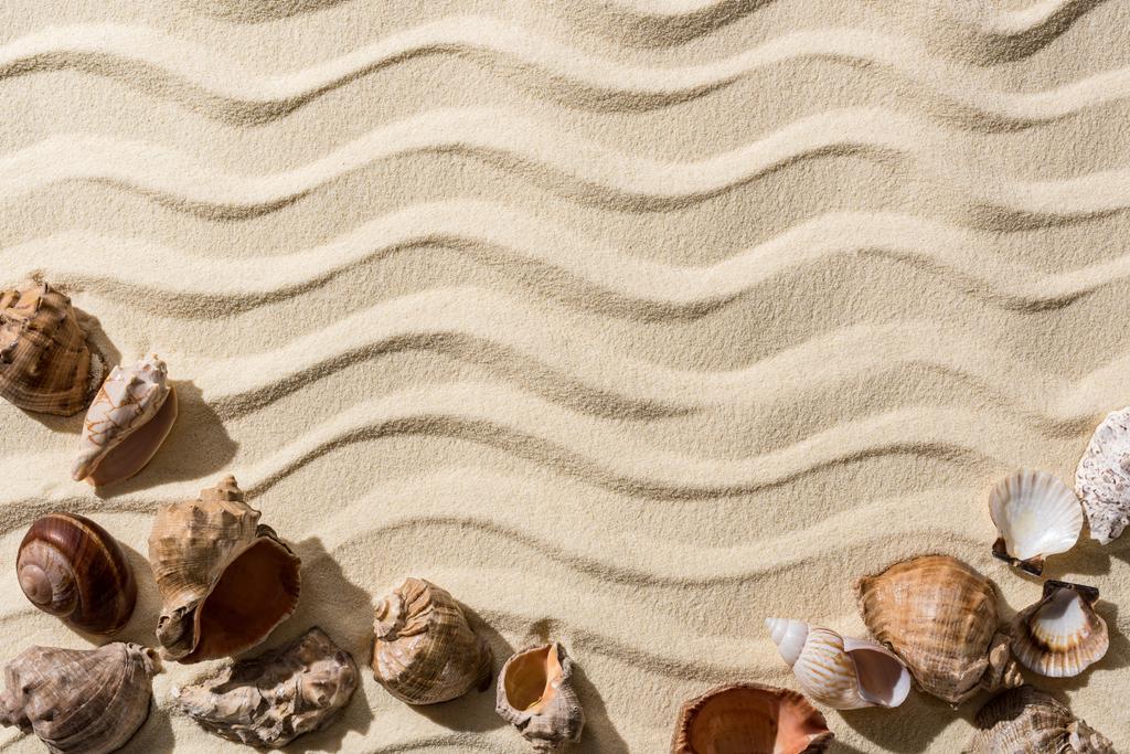 Κορυφαία θέα του αμμώδους φόντου με λεία κύματα, κοχύλια και αντίγραφο χώρου - Φωτογραφία, εικόνα