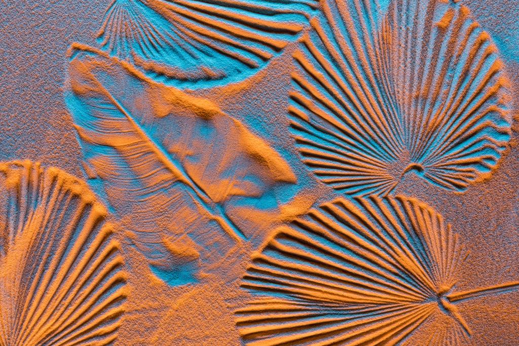 vista superior del fondo texturizado con impresiones de hojas en arena y filtro de color
 - Foto, imagen