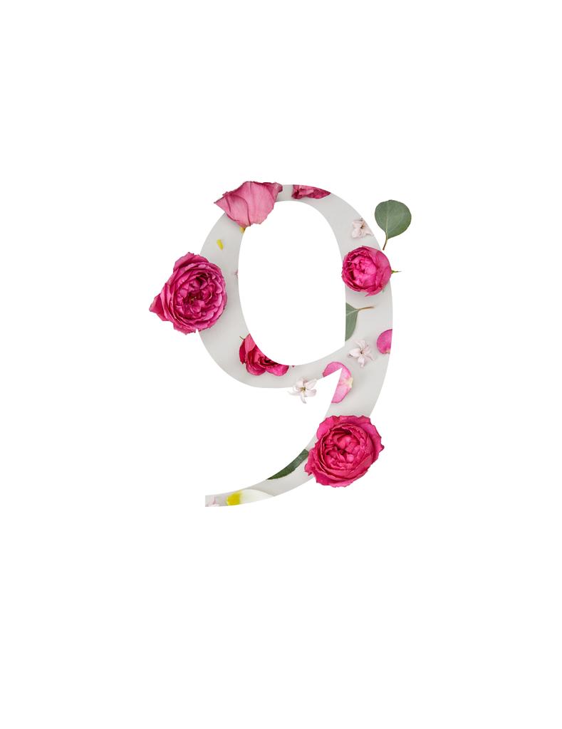 9-es szám a bíbor pünkösdi rózsa és a zöld levelek elszigetelt fehér - Fotó, kép