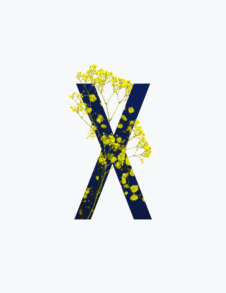 Lettera cirillica con fiori selvatici gialli su sfondo blu scuro isolato su bianco
 - Foto, immagini
