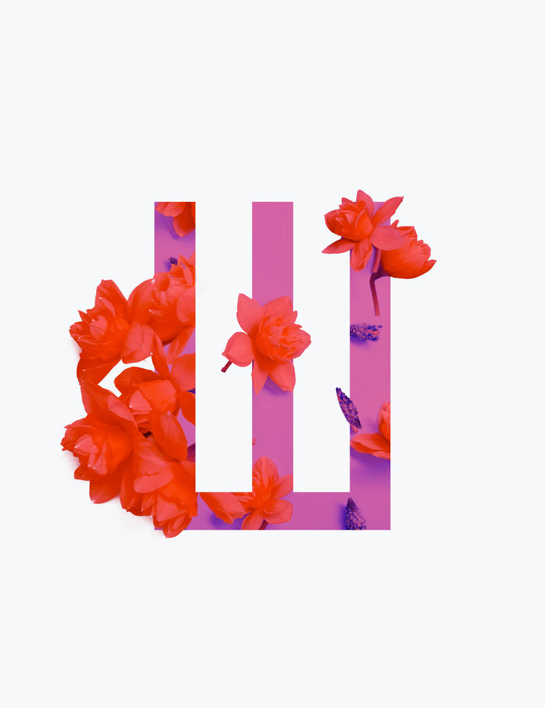 Lettera cirillica con narcisi rossi su sfondo rosa isolato su bianco
 - Foto, immagini