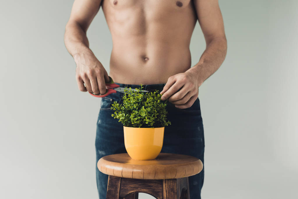 Частичный вид человека в джинсах, обрезающего зеленое растение ножницами, изолированными на сером
 - Фото, изображение