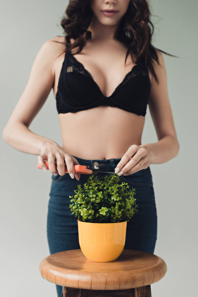 Μερική όψη της γυναίκας σε φυτό κοπής μαύρο σουτιέν με κλαδιά απομονώνονται σε γκρι - Φωτογραφία, εικόνα